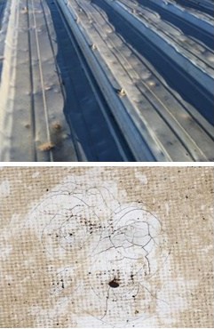 commercial roof damage