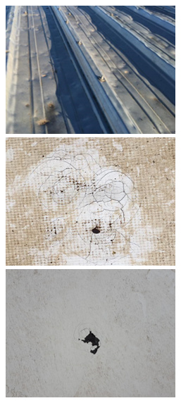 commercial roof damage