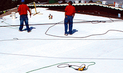 Conklin-Roof-3