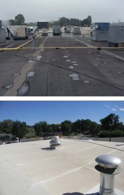 epdm and tpo commercial roofs