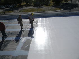 Flat-roof-coating