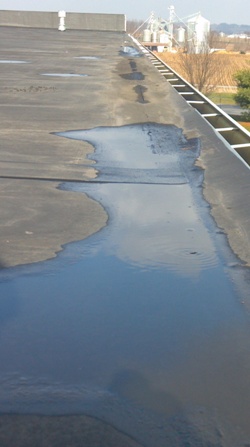 flat roof problems