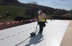 local contractor