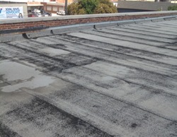 modified bitumen