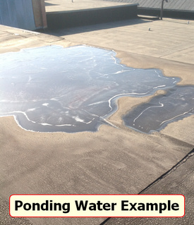 ponding water example