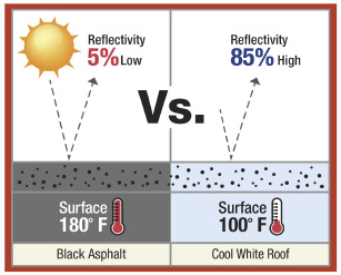 commercial roof guidance